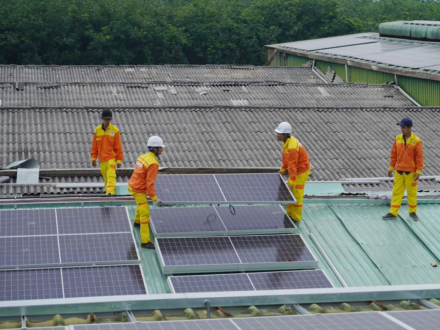 The Best Solar Companies in South Africa (2026)
