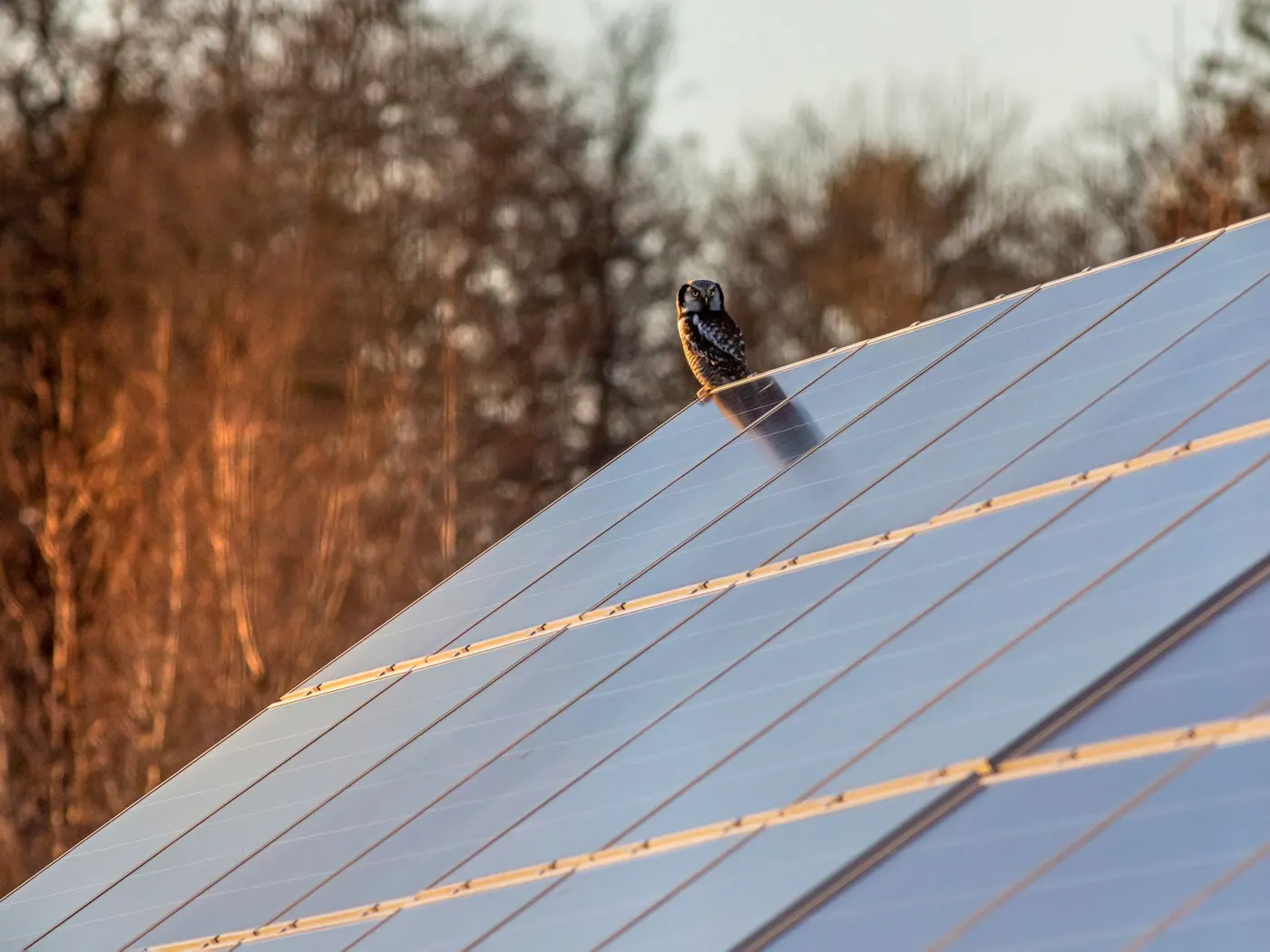 Is Solar Worth It in South Africa in 2026?