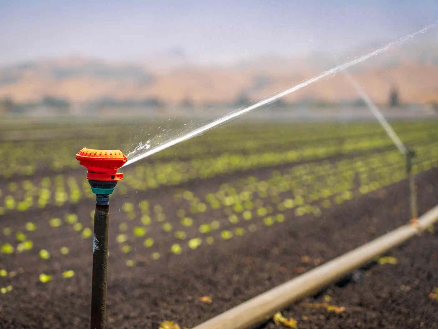 Solar for Farms and Agriculture in South Africa