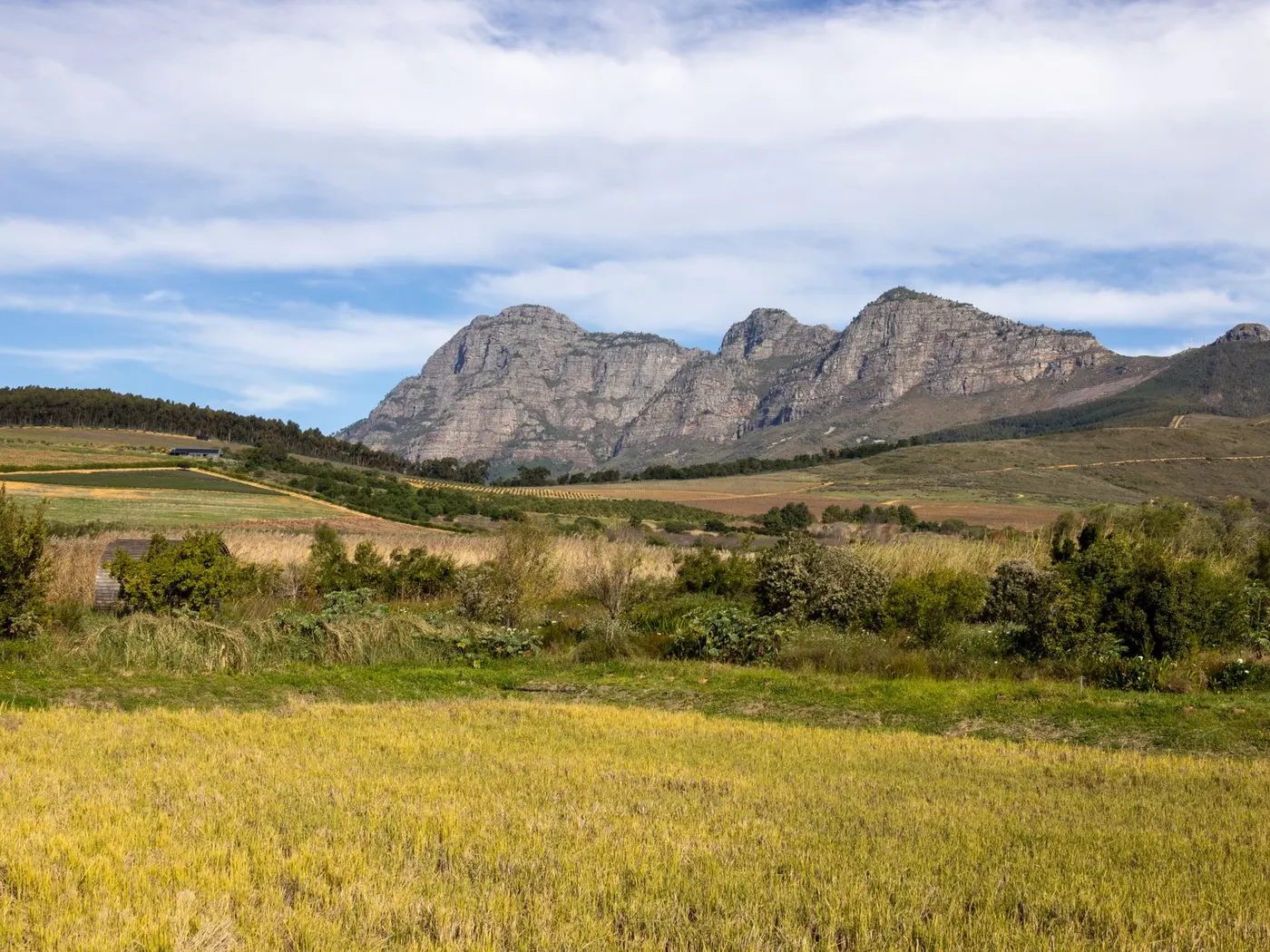 Going Solar in Paarl & Wellington: A Winelands Guide