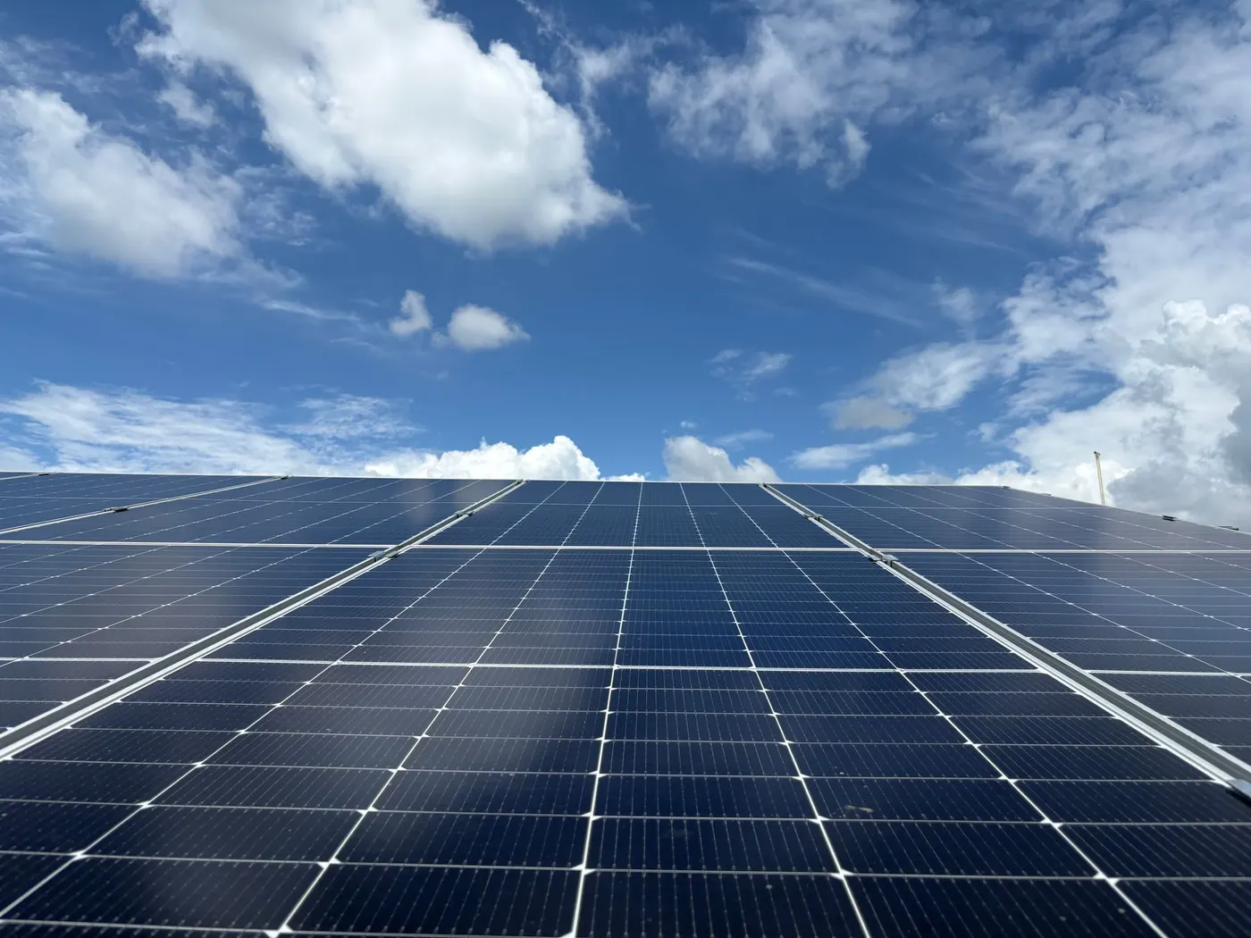 Best Solar Panels for South African Homes