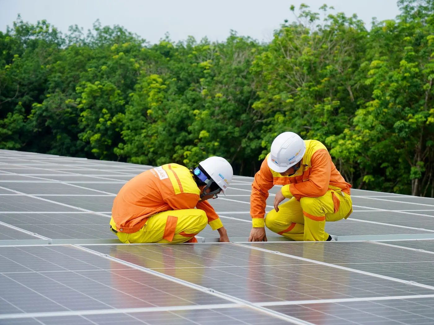 Trina vs Jinko Solar Panels: South African Guide